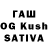 Галлюциногенные грибы MAGIC MUSHROOMS Arthur Iavnii
