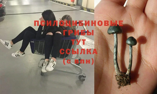 MDMA Premium VHQ Армянск