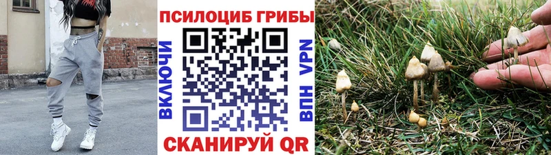 купить  сайты  Устюжна  Псилоцибиновые грибы GOLDEN TEACHER 